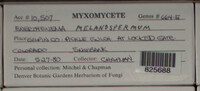 Image Associated With the Occurence